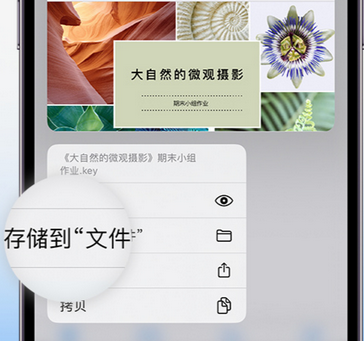 金塔apple维修中心分享iPhone文件应用中存储和找到下载文件