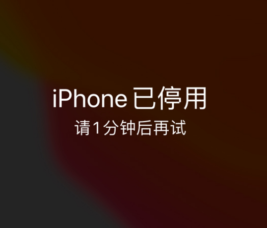 金塔苹果手机维修分享:iPhone 显示“不可用”或“已停用”怎么办？还能保留数据吗？ 