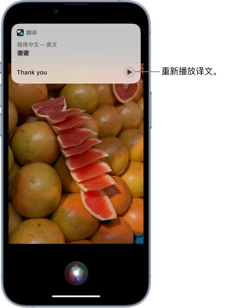 金塔苹果14维修分享 iPhone 14 机型中使用 Siri：了解 Siri 能帮你做什么 