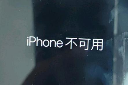 金塔苹果服务网点分享锁屏界面显示“iPhone 不可用”如何解决 