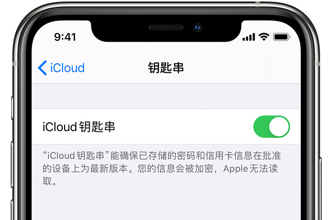 金塔苹果手机维修分享在 iPhone 上开启 iCloud 钥匙串之后会储存哪些信息 