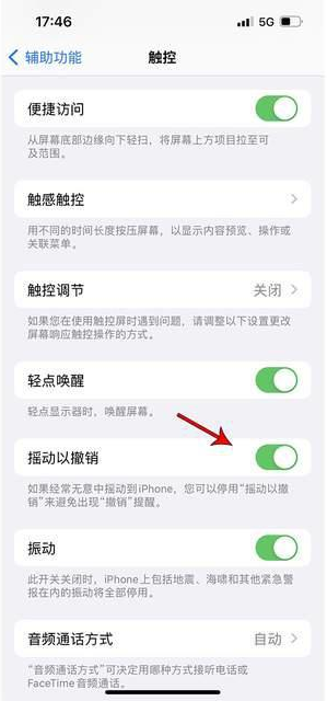 金塔苹果手机维修分享iPhone手机如何设置摇一摇删除文字 